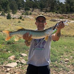 Meet your Posher, Paul